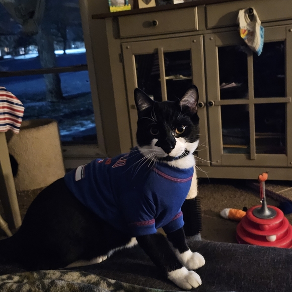 Meet your Posher, Ellen - Picture 3 of 5